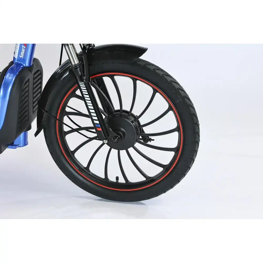 Электровелосипед SmartBalance Fiesta Pro11578